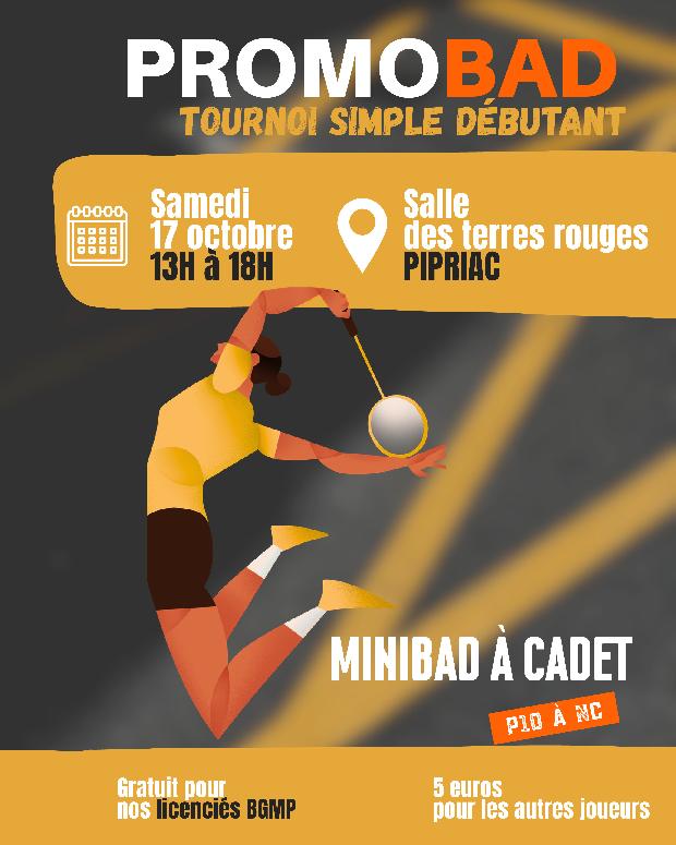 Promobad zone Sud : n°1 (BGMP35)